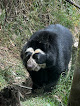 Amaru Bioparque Cuenca