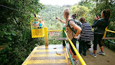 Bird Paradise Tours Mindo