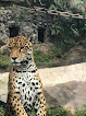 Eco Zoológico San Martín