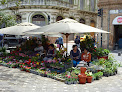 Plaza De Las Flores