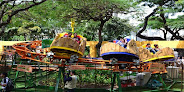 Safari Park