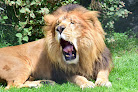 Zoo Vida Exótica